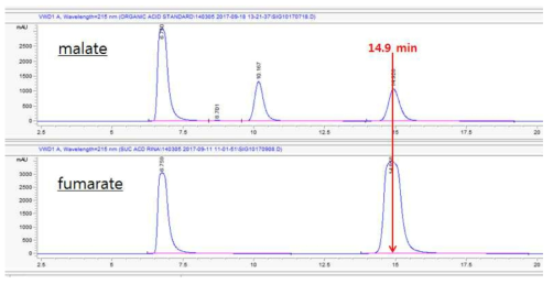 malate 와 fumarate 표준 물질 HPLC retention time 비교. 분석 조건:(Bio-rad Aminex HPX-87H column, 50℃, mobile phase: H2SO4 5 mM, 0.6 ml/min, UV detector: 215 nm)