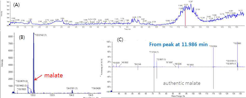 (A) Peak extraction corresponding to malate, (B) mass spectrum, and (C) comparison of mass spectrum with authentic malate