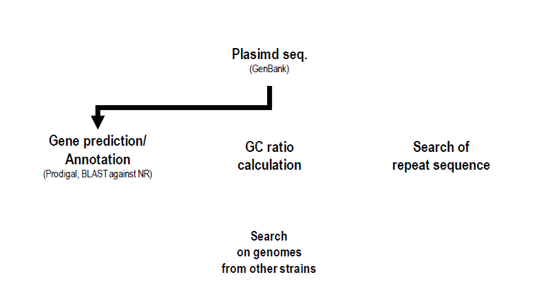 plasmid 복제 원점 예측 전략