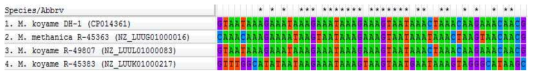 conserved region (gap12) between Methylomonas sp.