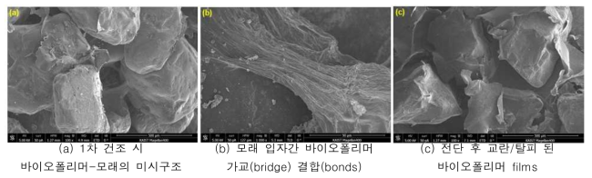 바이오폴리머-모래의 전자주사현미경 images.
