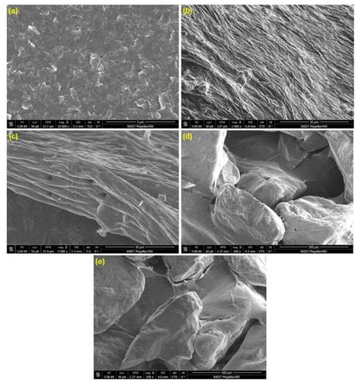 바이오폴리머-모래의 반복 건조-수침(cyclic drying-wetting)에 따른 전자주사현미경 images.