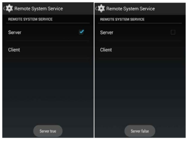 Remote System Service의 Server On/Off