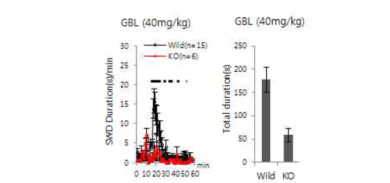 정상생쥐와 KO 생쥐의 총 SWDs 발생시간 변화