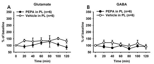 Activation of the PL by PEPA did not alter extracellular levels of glutamate and GABA in the VTA.