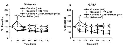 Decreased levels of glutamate (A) and GABA (B) in the VTA by cocaine were reversed by acupuncture at HT7.