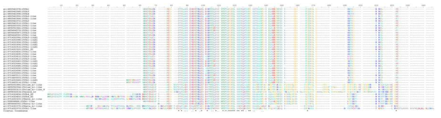 G. gallus 25번 chromosome의 케라틴 단백질들 아미노산 서열 기반 상동성 비교 분석