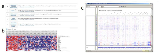 CCLE (Cancer Cell Line Encyclopedia)에서 제공하는 분석 도구들.