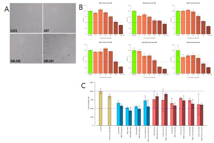 A. 아교모세포종 세포주 (U251, U87) 및 환자유래 1차 세포 (GBL208, GBL283)의 배 양 B. 아교모세포종 환자 유래 1차 배양 세포의 TMZ 감수성 측정 결과, C. 아교모세포종 환자 유래 1차 배양세포(GBL34)의 TMZ + 약물 후보 조합 감수성 측정 결과