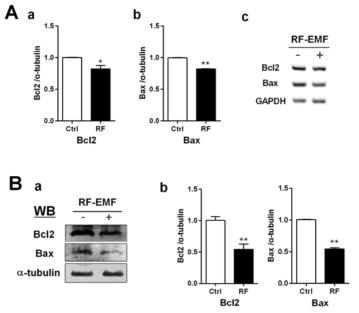 Expression of apoptosis-related genes in the cerebral cortex of mice following chronic RF-EMF exposure.