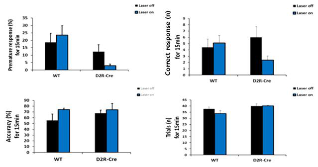 D2R-Cre쥐와 정상쥐를 대상으로 1s on/1s off (20Hz/5ms/10mW)조건으로 5-CSRTT 도중 5분마다 빛 자극을 주며 SD1s진행 결과.