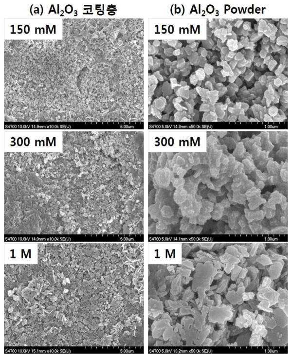 uminum nitrate 용액의 농도를 달리하여 코팅한 FeCr 합금포일 표면(좌)과 형성된 알루미나 파우더(우)의 SEM 이미지