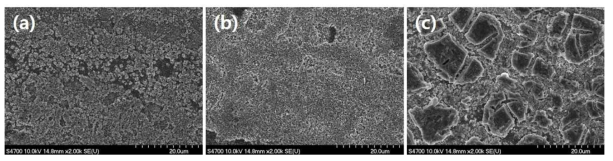 알루미나 전구체를 달리하고 침전제 A를 이용하여 제조한 FeCr 합금 표면 SEM 이미지. (a) Aluminum nitrate, b) Aluminum chloride, c) Aluminum acetate)