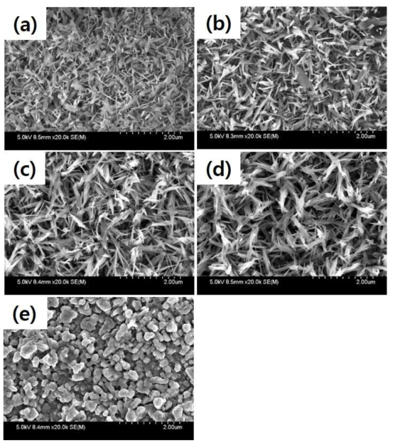 알루미나 전구체 농도변화에 따른 FeCr 합금 모노리스의 SEM 이미지 (a) 100 mM, b) 150 mM, c) 300 mM, d) 500 mM, e) 1,000 mM)