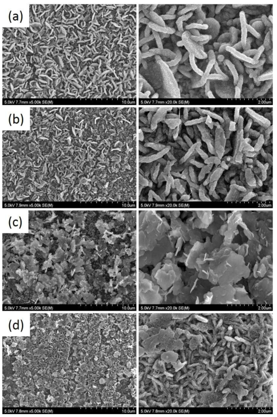 침전제 종류에 따른 MgO 코팅층의 SEM 이미지 (침전제 A: a) 150 mM, b) 300 mM, 침전제 B: c) 150 mM, d) 300 mM)