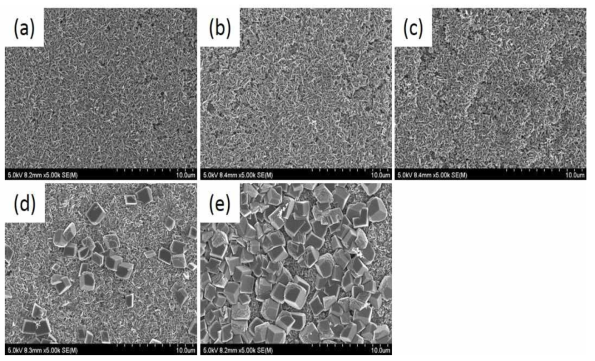 MgO 전구체 농도별 FeCr 합금 포일 표면의 SEM 이미지. (a) 50 mM, b) 100 mM, c) 150 mM, d) 300 mM, e) 500 mM)