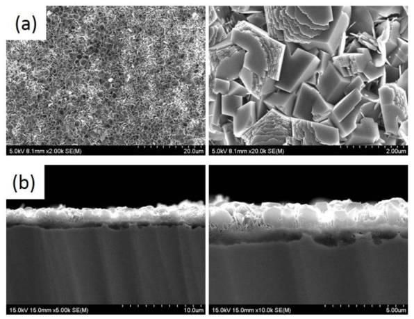 Al2O3-MgO 담체층이 코팅된 FeCr 합금 모노리스 SEM 이미지 (a) 표면, b) 단면)