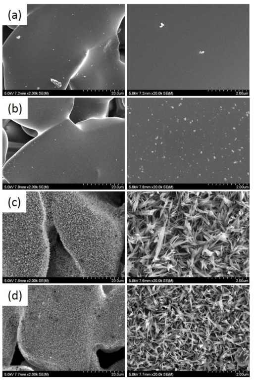 Al2O3 담체층이 코팅된 SiC 모노리스의 SEM 이미지 (a) fresh, b) calcination 900 oC, c) Al2O3 coating, d) Al2O3 coating-calcination 900 ˚C)