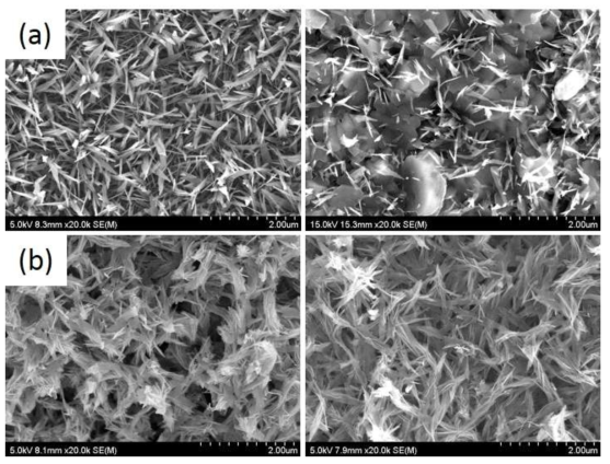 Al2O3 담체층이 코팅된 금속 재질별 표면의 SEM 이미지. 소성 전(좌), 소성 후(우) (a) SUS foil, b) Aluminum foil).