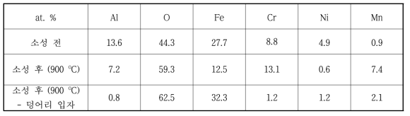 Al2O3 담체층이 코팅된 SUS 포일의 EDS 조성 분석 결과
