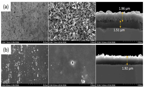 접착력 테스트 후 FeCr 합금 모노리스 표면 SEM 이미지(a) 침전법, b) 워시코팅).