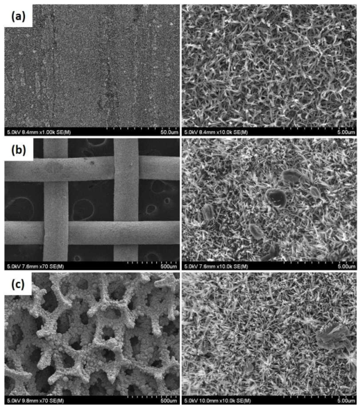 Al2O3 담체층이 코팅된 구조체 형상별 SEM 이미지