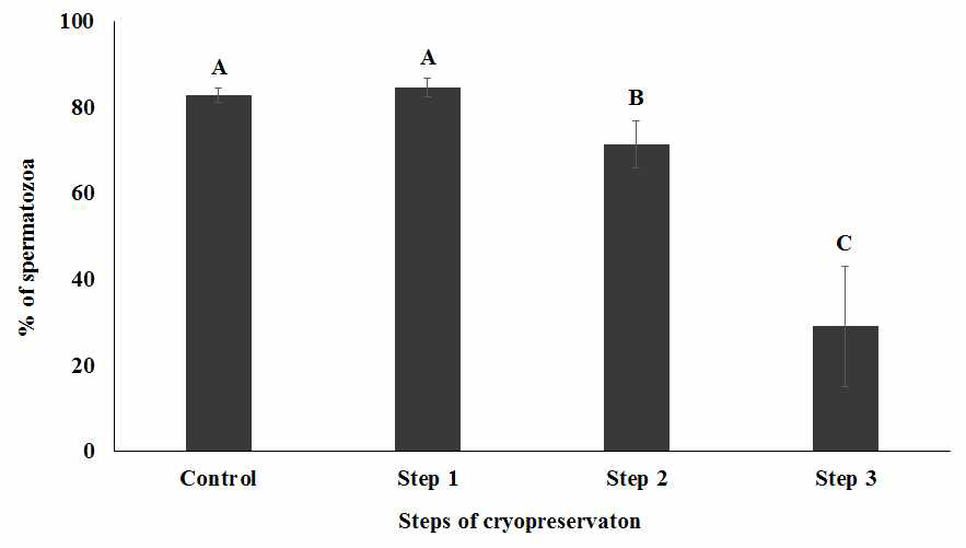 동결보존과정 각 단계별 정자의 생존성 비교.