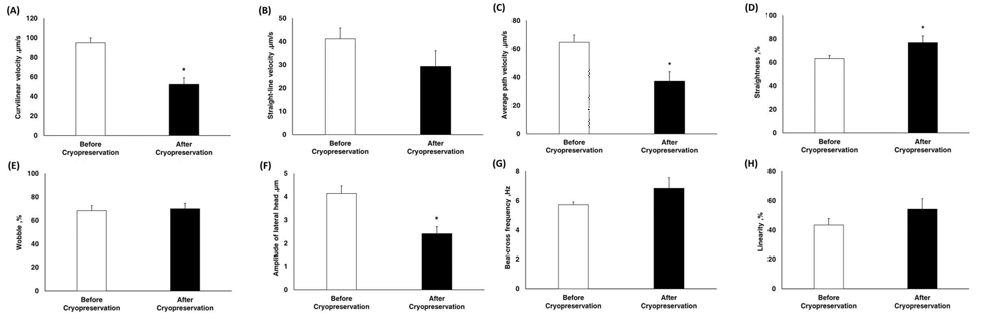 동결보존 전/후에 따른 정자의 운동역학변수 비교.