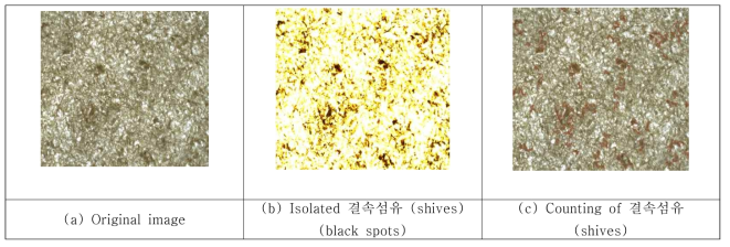 Image analysis process for counting shives number in a sheet.