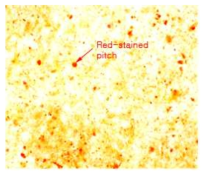 Stained sheets with Sudan IV for pitch analysis in TMP.