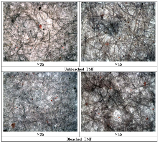 TMP Pitches stained by Stain I.