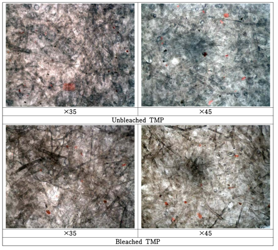 TMP Pitches stained by Stain III.