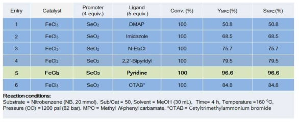 Fe계 촉매 시스템에 적합한 Ligand 탐색 결과