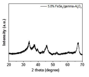 담지된 FeSe2의 XRD 결과
