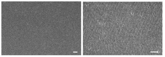 PS(46)-b-PMMA(21) 수평 원통형 나노구조의 FE-SEM 이미지. 스케일 바는 200 nm.