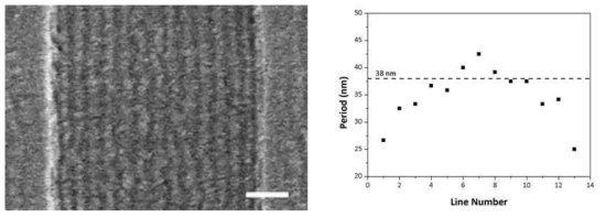 500 nm 너비 패턴에 형성된 PS(46)-b-PMMA(21)의 크기 구배 나노구조:(좌) FE-SEM 이미지; (우) 반복주기의 변화. (스케일 바=100 nm)