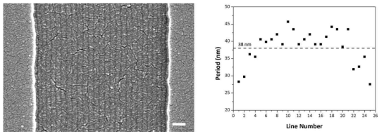 1 μm 너비 패턴에 형성된 PS(46)-b-PMMA(21)의 크기 구배 나노구조:(좌) FE-SEM 이미지; (우) 반복주기의 변화. (스케일 바=100 nm)