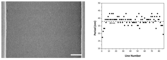 3.5 μm 너비 패턴에 형성된 PS(46)-b-PMMA(21)의 크기 구배 나노구조:(좌) FE-SEM 이미지; (우) 반복주기의 변화. (스케일 바=500 nm)