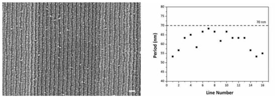 1 μm 너비 패턴에서 형성된 PS(150)-b-PMMA(57) 크기 구배 나노구조:(좌) FE-SEM 이미지; (우) 반복주기의 변화. (스케일 바=100 nm)