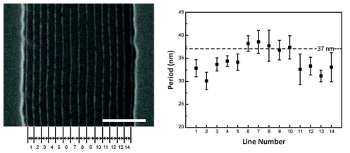 선형 패턴 내에 크기 구배가 형성된 백금 나노선 배열;(좌) FE-SEM 이미지; (우) 반복주기의 변화. (스케일 바=200 nm)