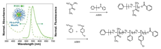R123가 P4VP 코어에 도입된 PS-b-P4VP 마이셀 (좌) 및 RAFT 중합에 의한 PMMA-b-P(S-r-4VBC) 블록공중합체 합성 (우).