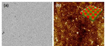 PMMA-b-P(S-r-4VBC-r-Rho)의 수직 원통형 나노구조:(a) TEM 이미지; (b) AFM 이미지. 스케일 바는 500 nm.