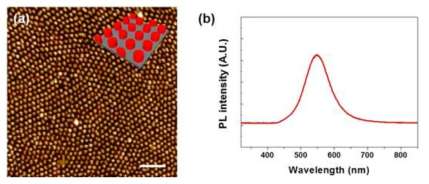 산소 플라즈마 처리 후 PMMA-b-P(S-r-4VBC-r-Rho)의 형광 토포그래픽 나노구조:(a) AFM 이미지; PL 스펙트럼. (스케일 바=500 nm)