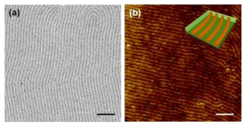 PMMA-b-P(S-r-4VBC-r-Rho)의 수평 원통형 나노구조:(a) TEM 이미지; (b) AFM 이미지. 스케일 바는 500 nm.