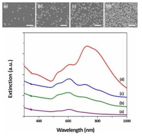 금 나노막대 도입량에 따른 FE-SEM 이미지 및 소광 스펙트럼.