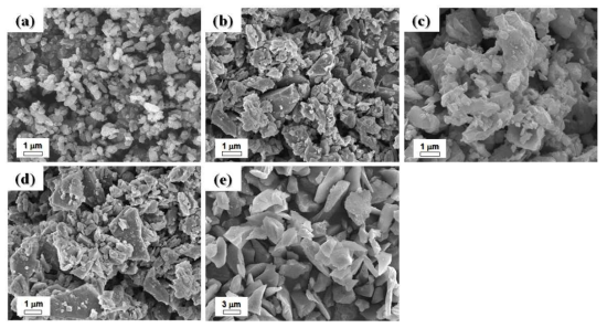 FE-SEM micrographs of various powder morphologies