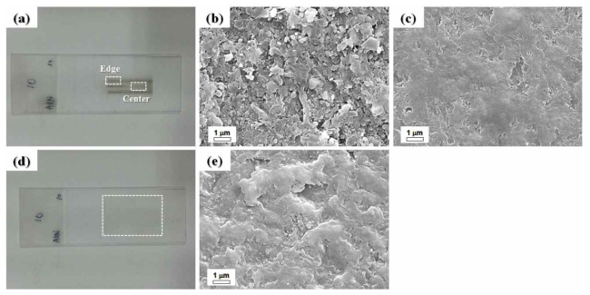 FE-SEM images of AlN coatings