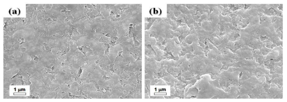 FE-SEM observation of SiC coating surface morphology using (a) slit and (b) round nozzle