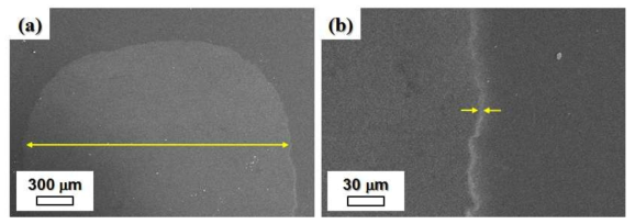 FE-SEM micrographs of (a) main deposition area and (b) gradation area