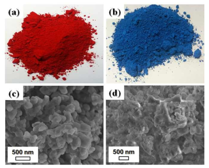 Photographs of (a) Co(Al, Cr)2O4 (red color) and (b) C9H13CdN2O4SSe (blue color) powders, and FE-SEM micrographs of (c) Co(Al, Cr)2O4 and (d) C9H13CdN2O4SSe powders.